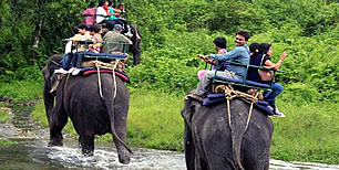 Elephant tour in Dooars