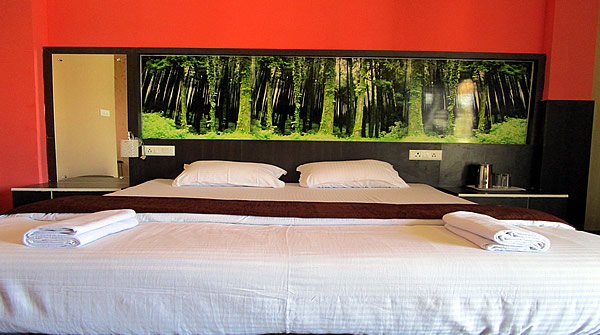 Maa Greenery View Deluxe Room